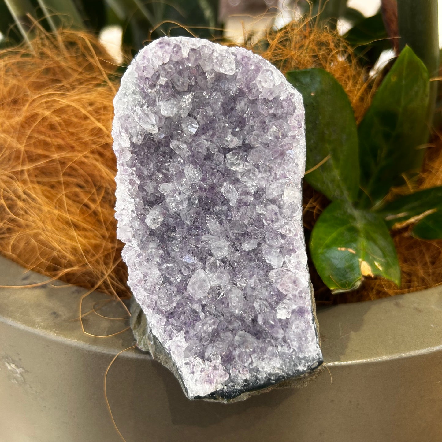 Standing amethyst