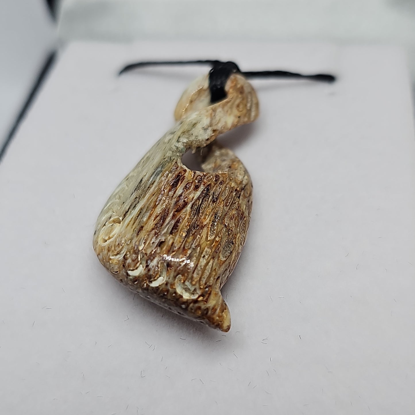 Whale bone - twist - Rivendell Shop