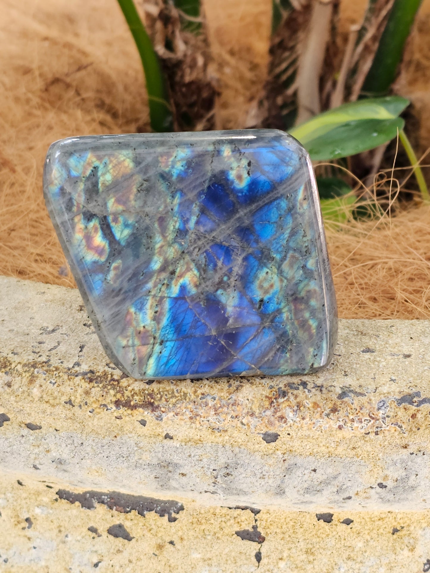 Labradorite freeform - Rivendell Shop