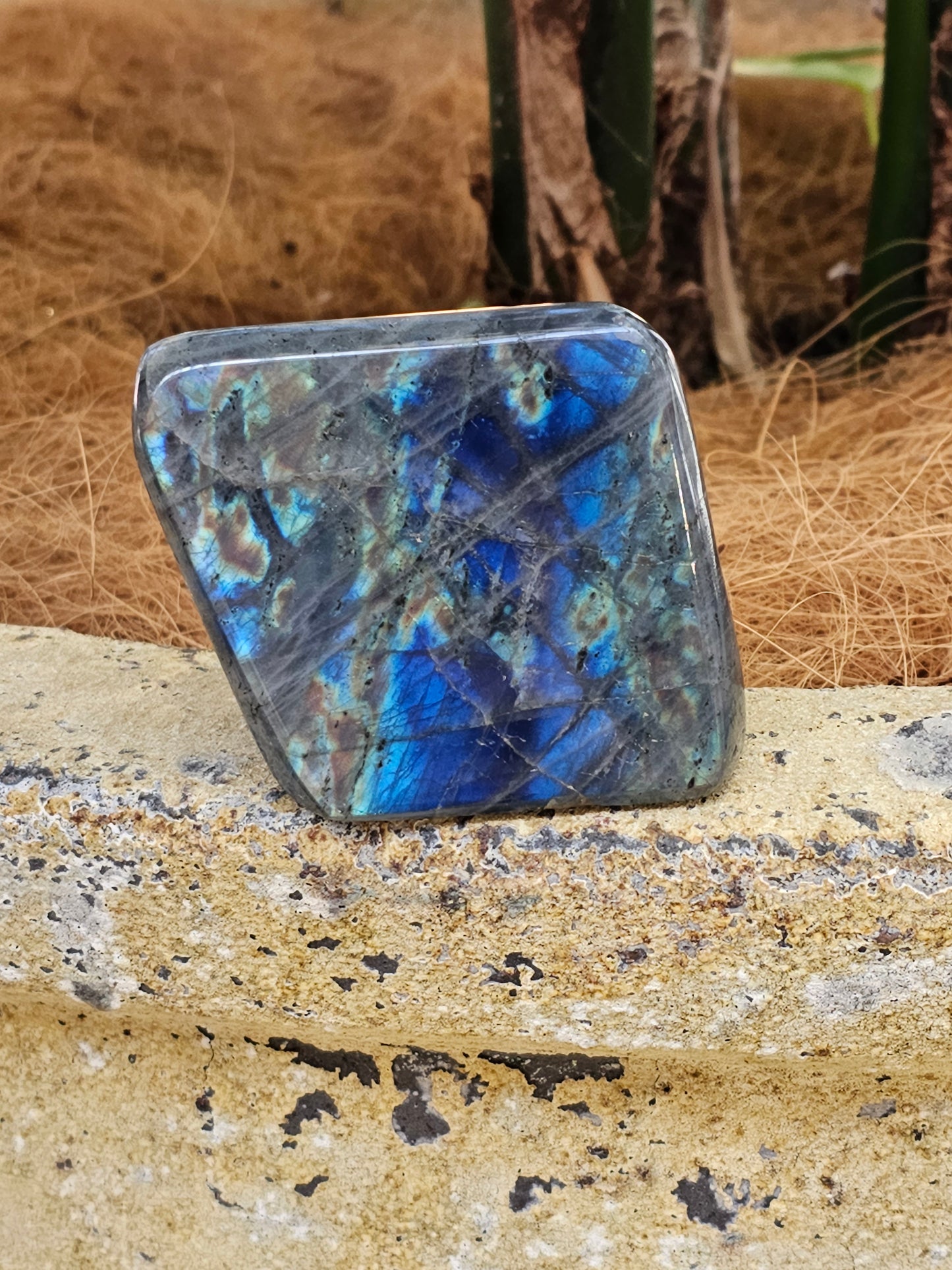 Labradorite freeform - Rivendell Shop