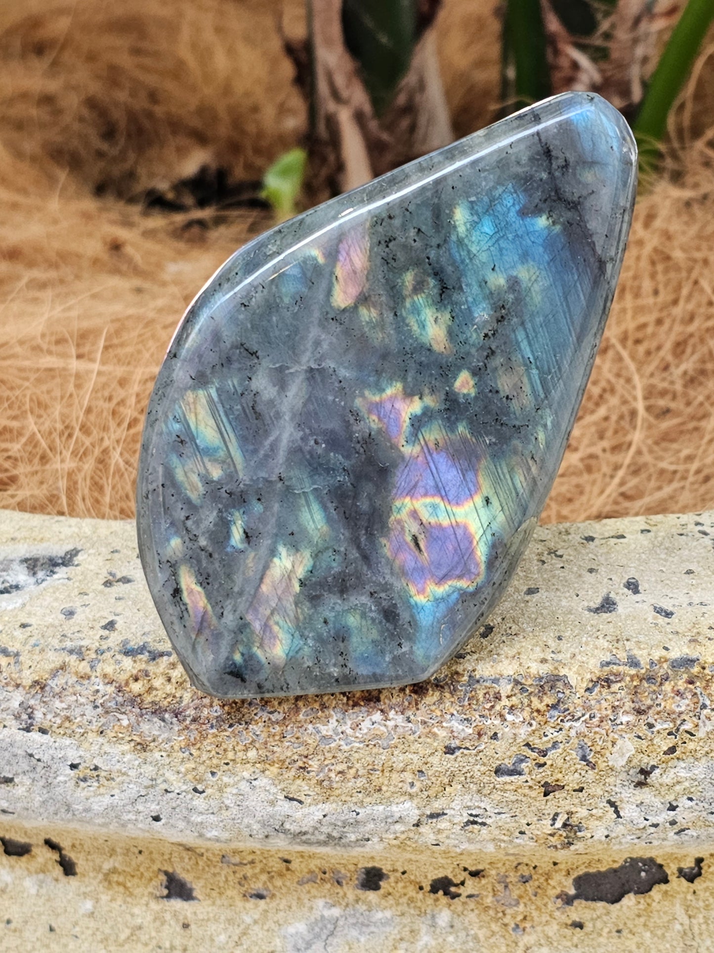 Labradorite freeform - Rivendell Shop