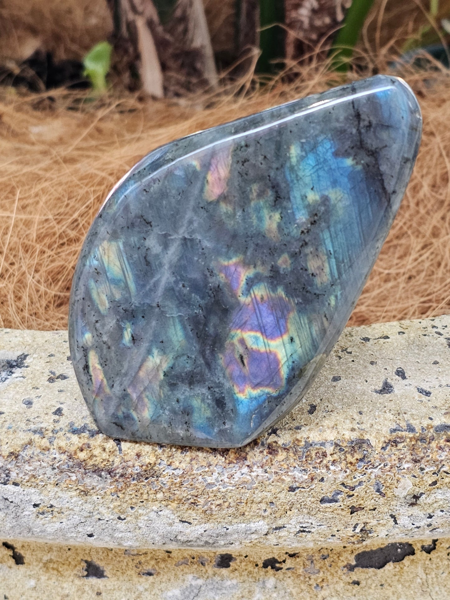 Labradorite freeform - Rivendell Shop