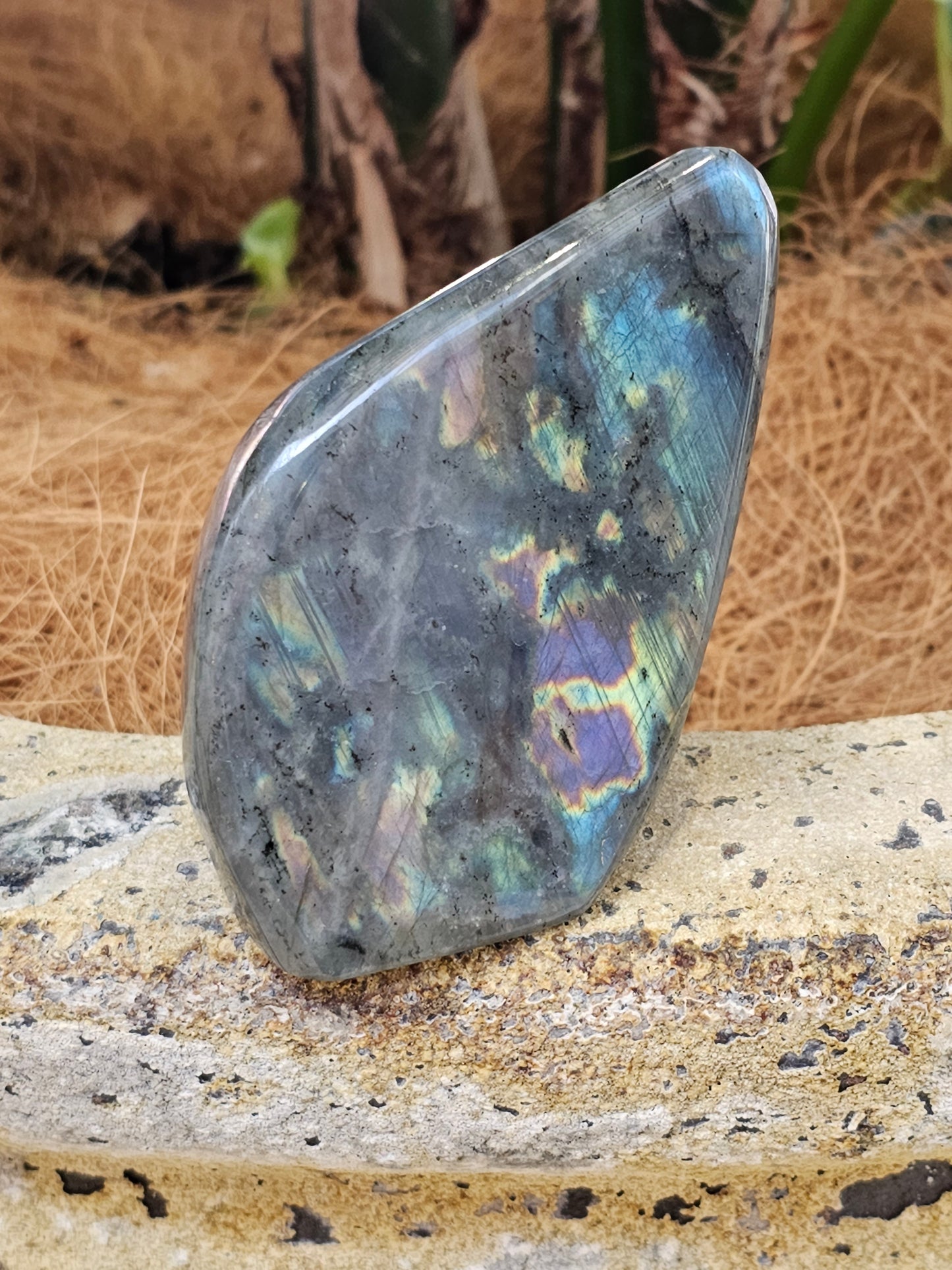 Labradorite freeform - Rivendell Shop