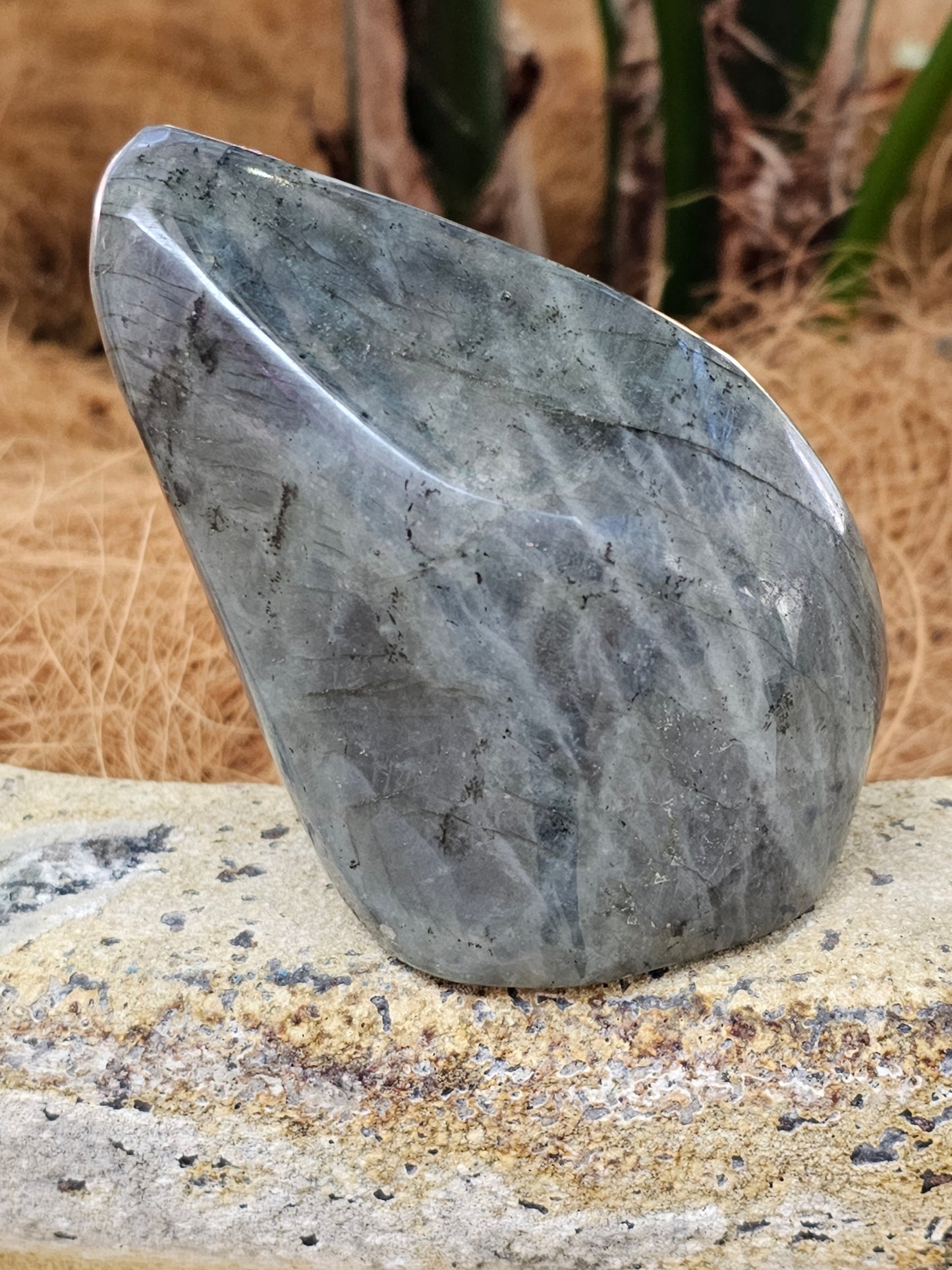 Labradorite freeform - Rivendell Shop