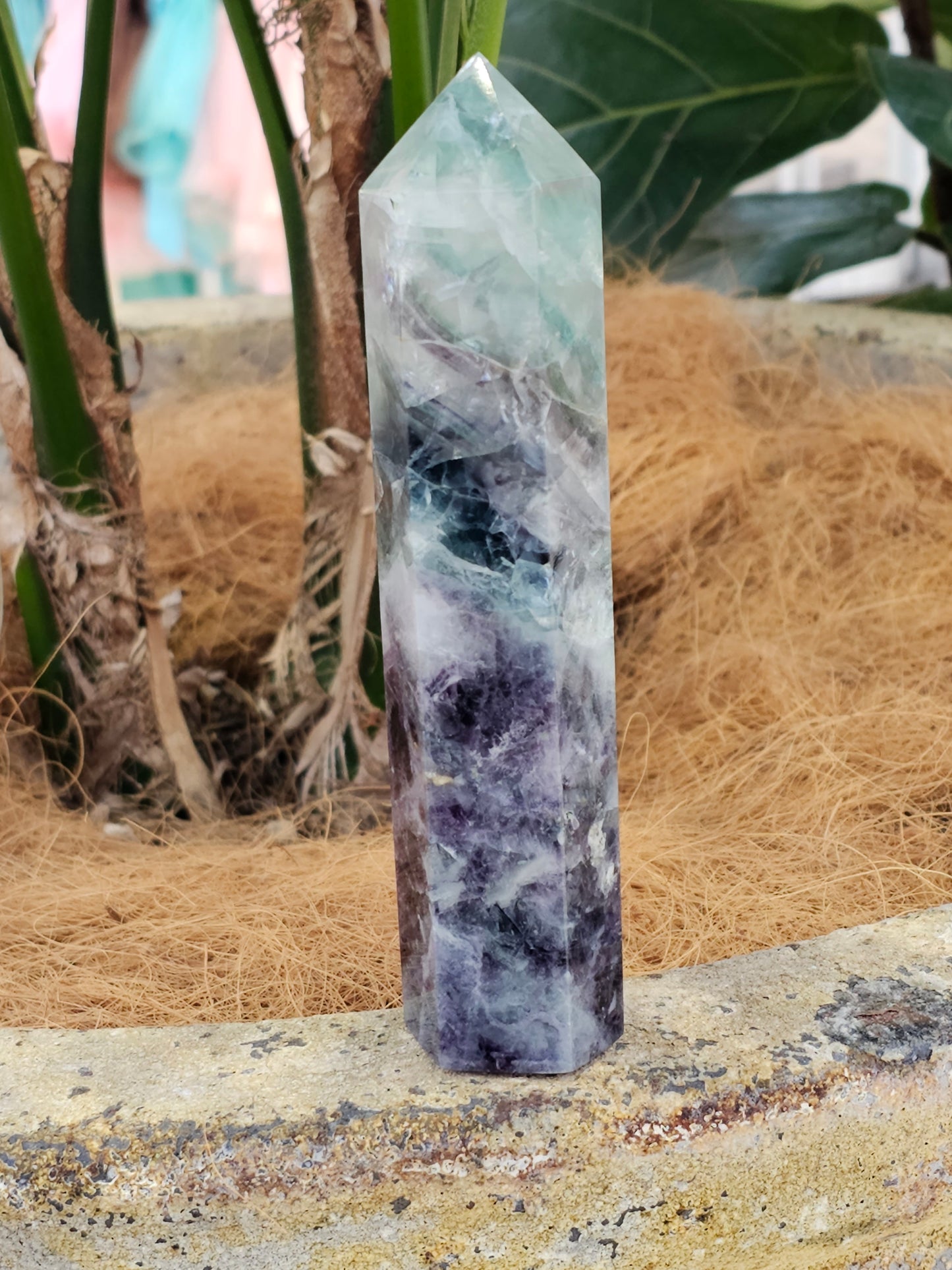 Fluorite Crystal Point - Rivendell Shop