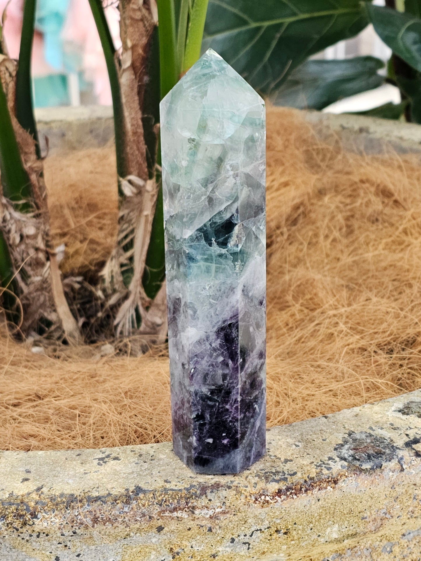 Fluorite Crystal Point - Rivendell Shop