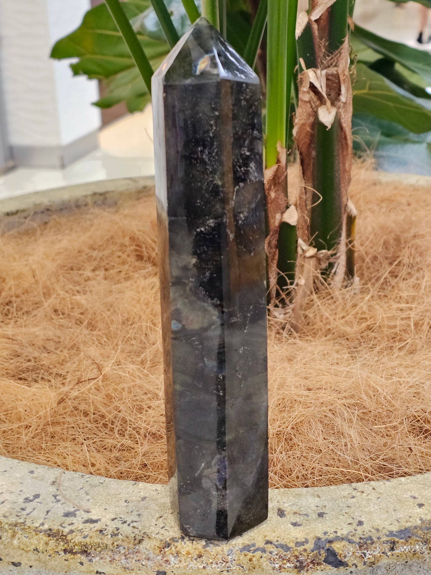 Labradorite Point - Rivendell Shop
