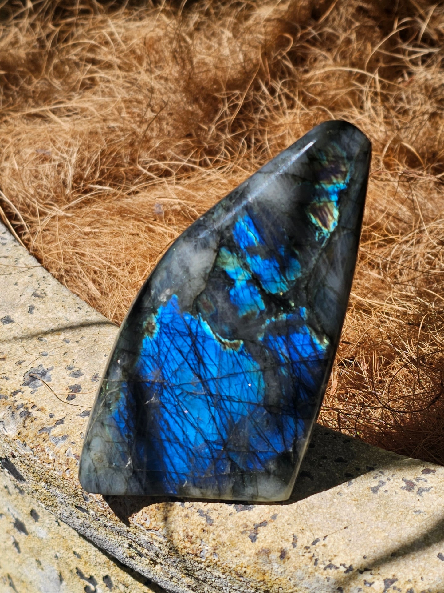Labradorite Freeform - Rivendell Shop