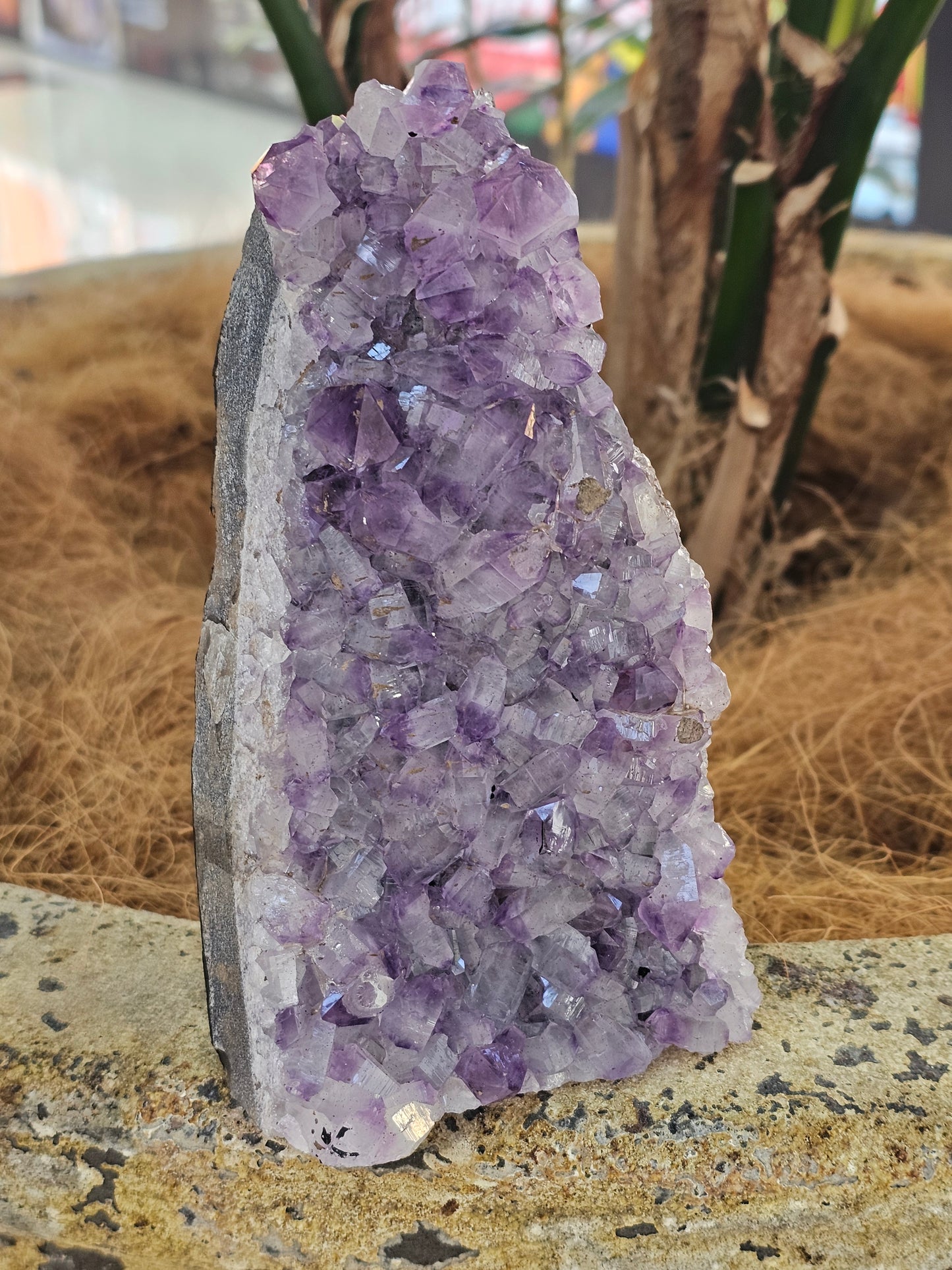 Standing amethyst - Rivendell Shop