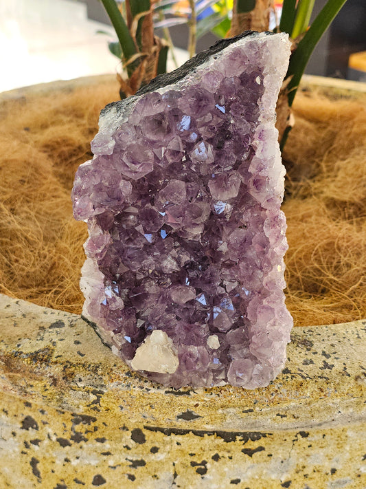 Standing Amethyst - Rivendell Shop
