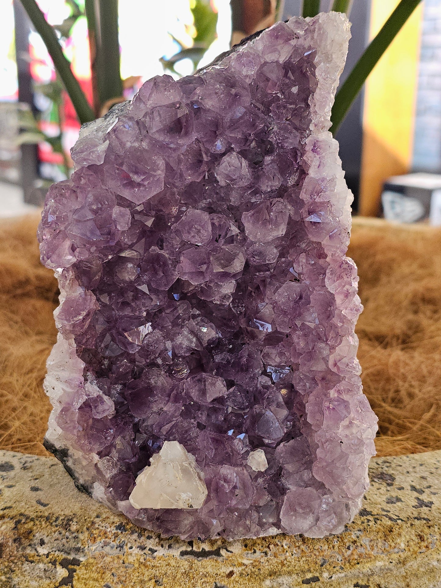 Standing Amethyst - Rivendell Shop
