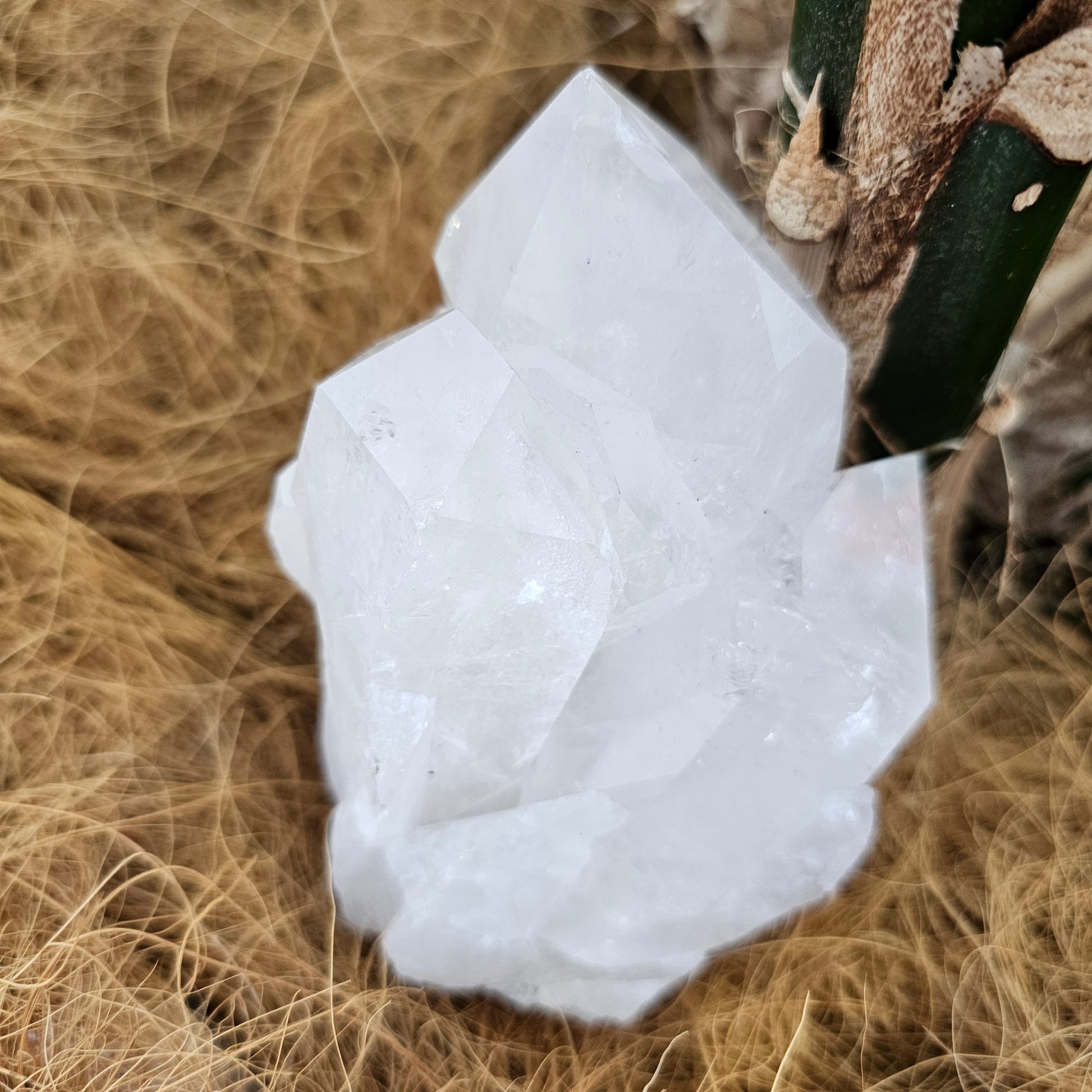 Clear quartz cluster - Rivendell Shop
