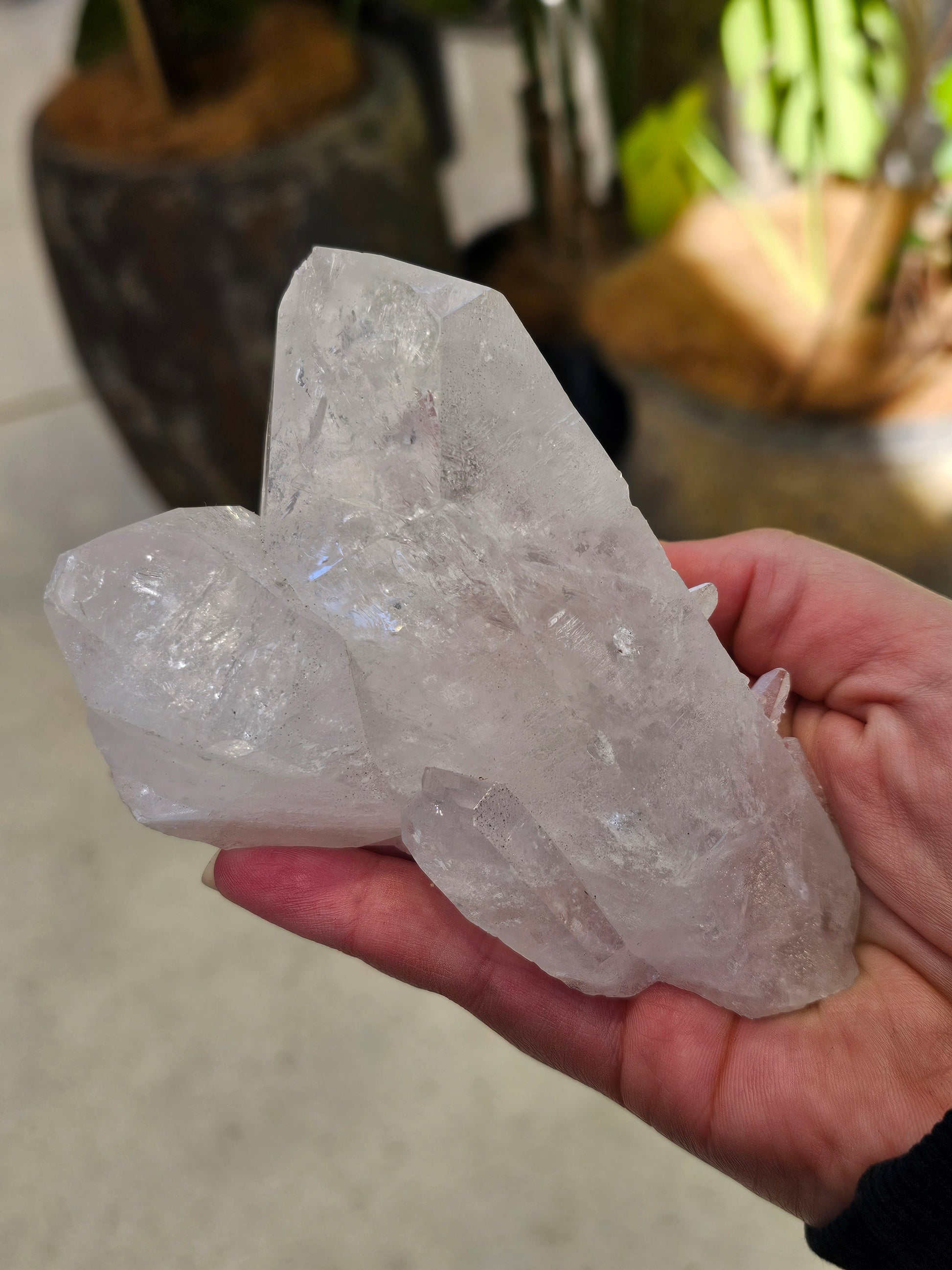 Clear Quartz Cluster - Rivendell Shop