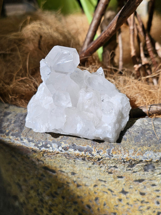 Clear Quartz Cluster - Rivendell Shop