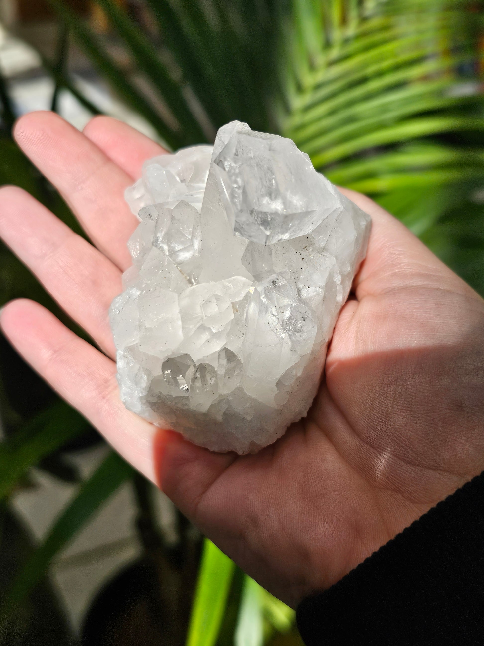 Clear Quartz Cluster - Rivendell Shop