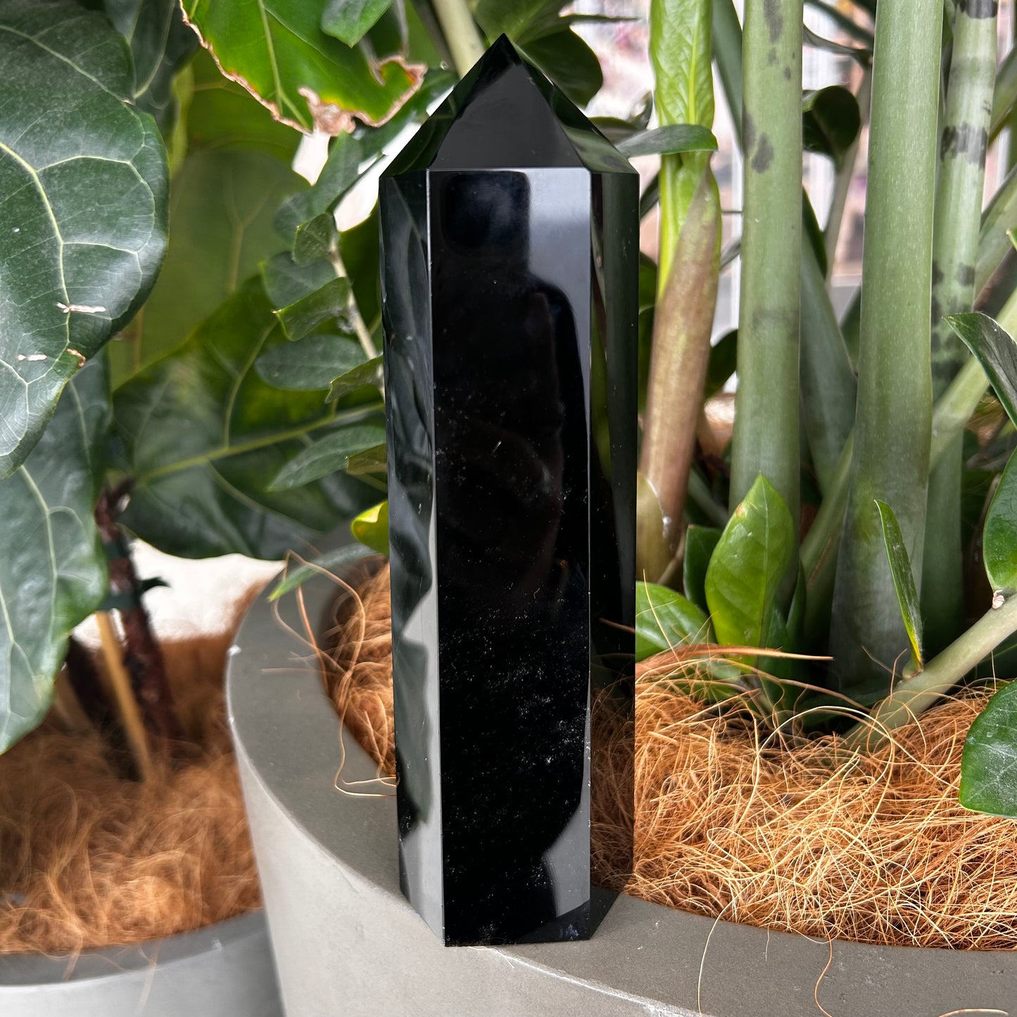 Black Obsidian Point - Rivendell Shop