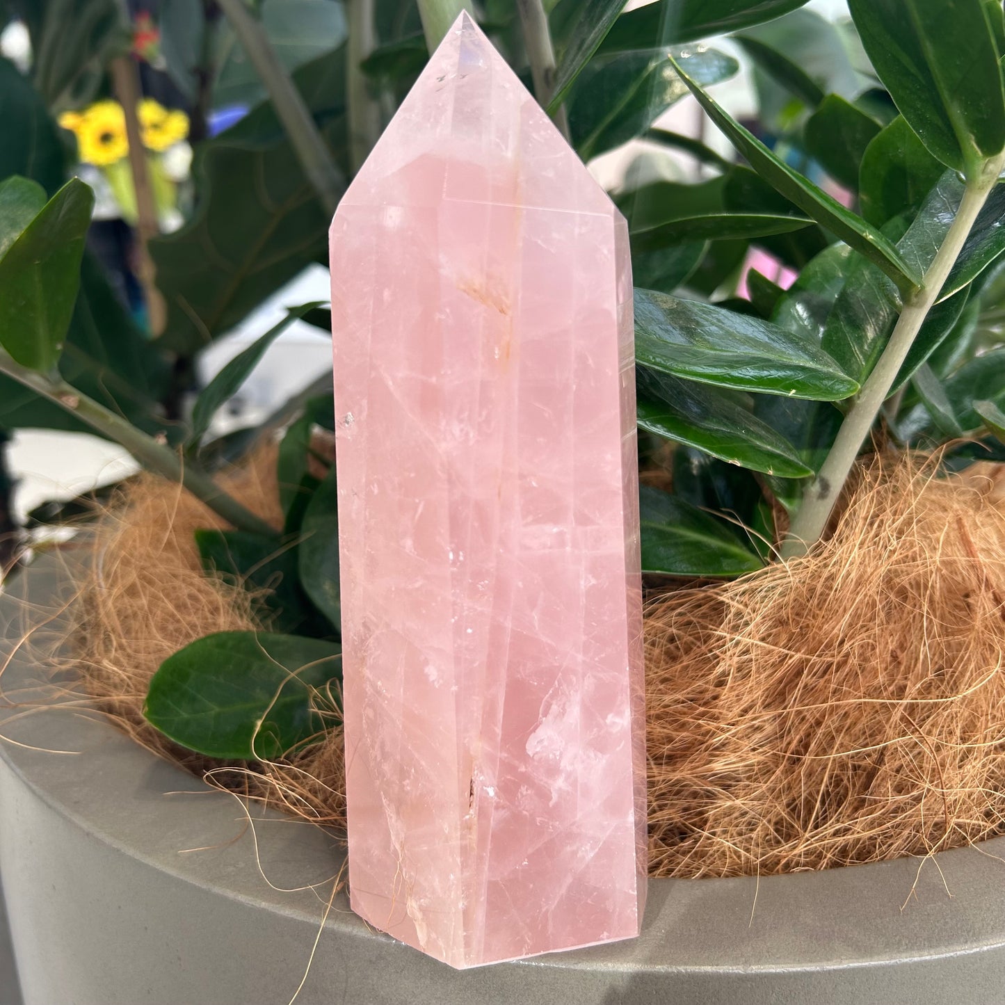Rose Quartz Point