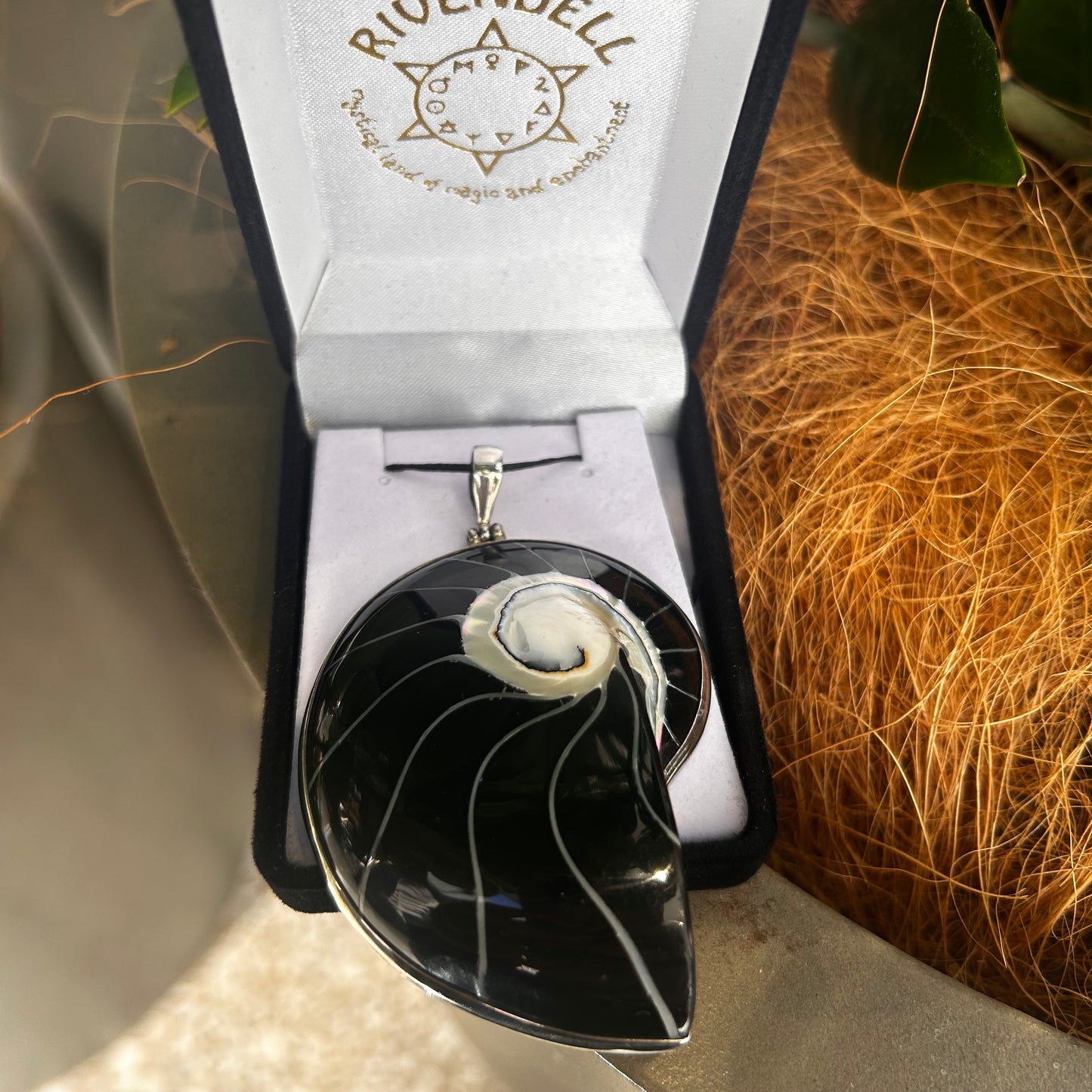 Black Shell Pendant - Rivendell Shop