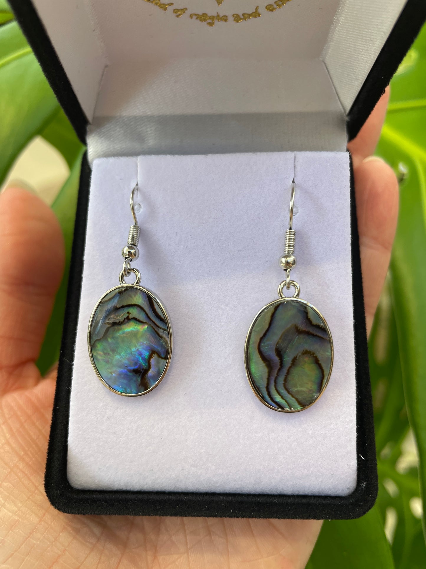 Paua Earrings - Large Oval - Rivendell Shop