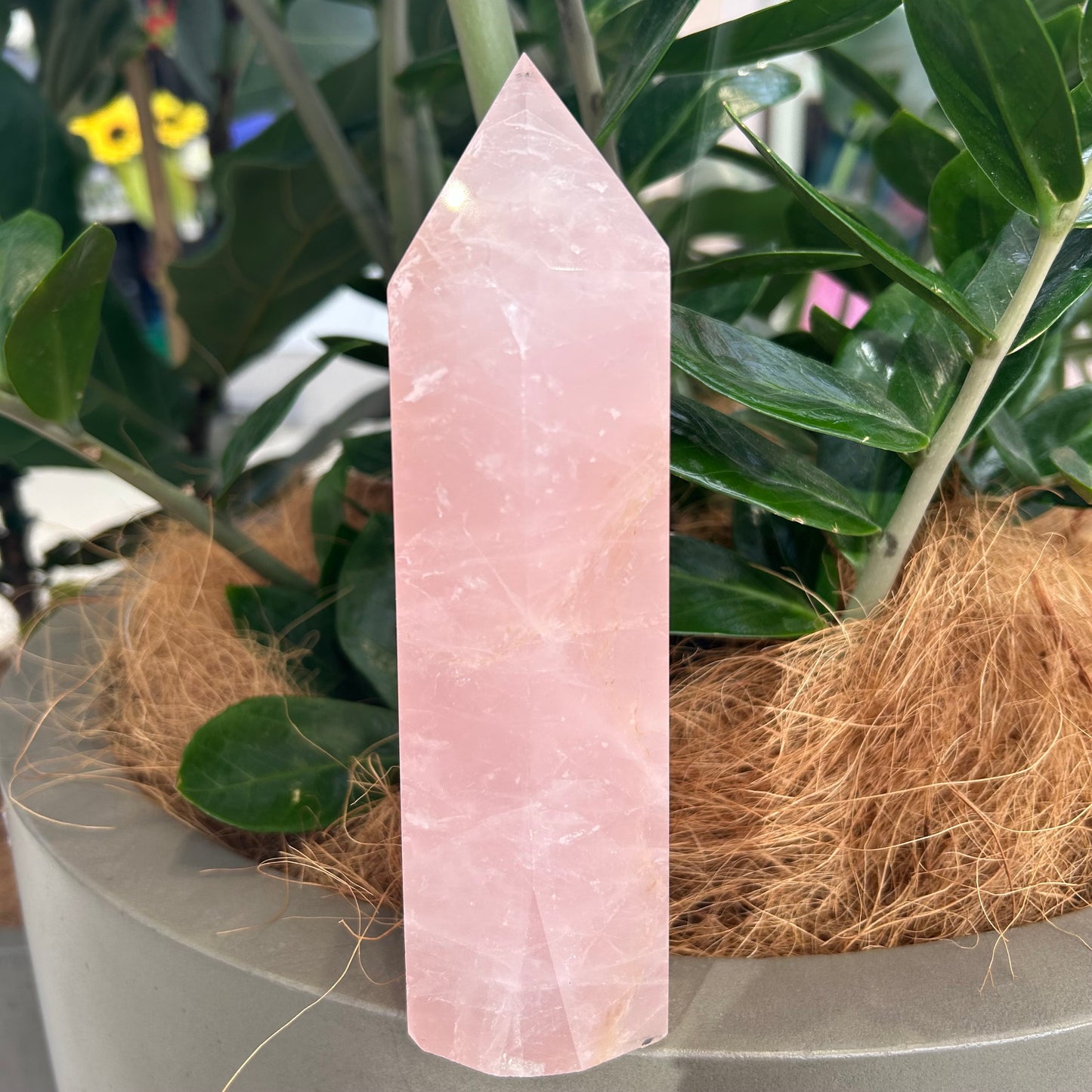 Rose Quartz Point