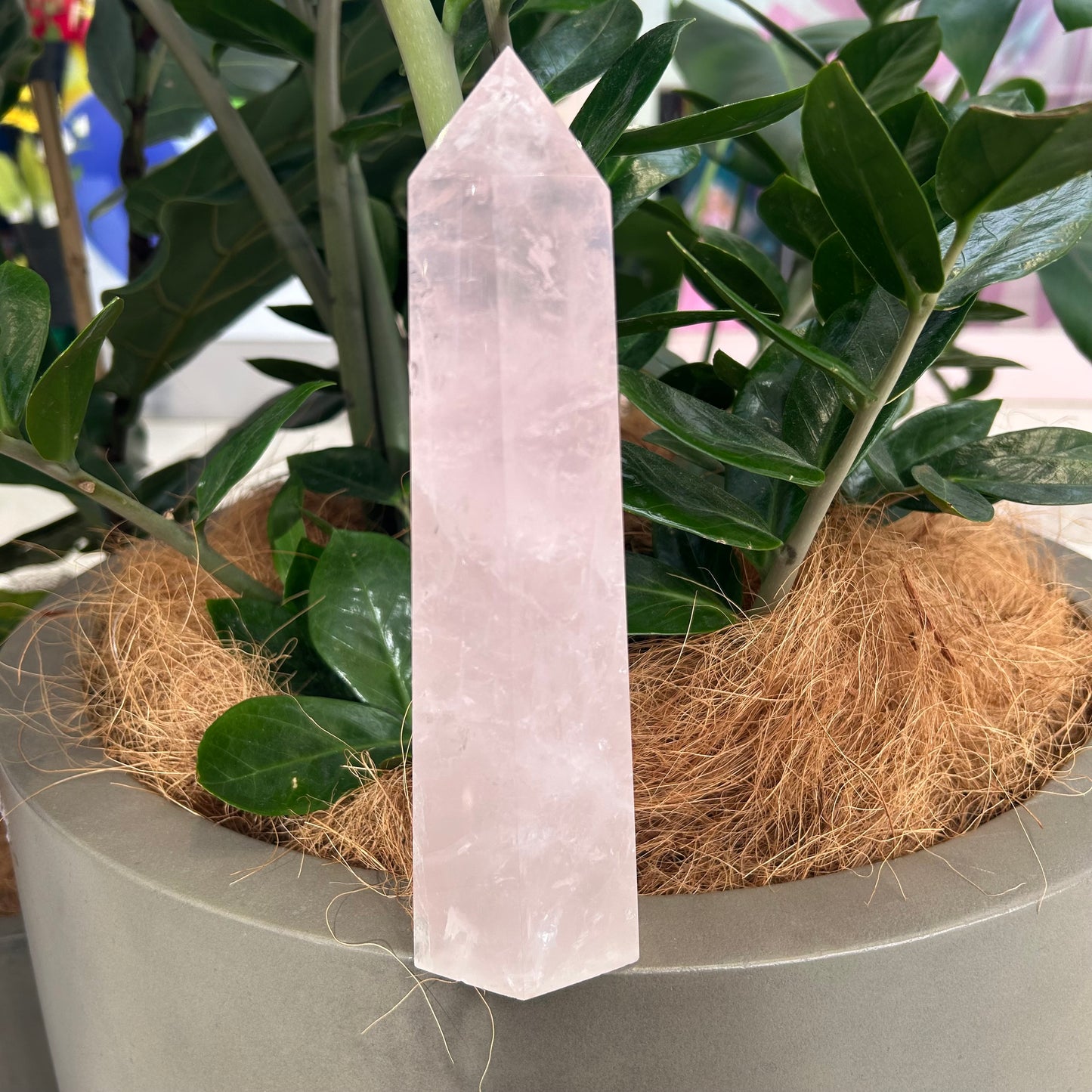 Rose Quartz Point - Rivendell Shop