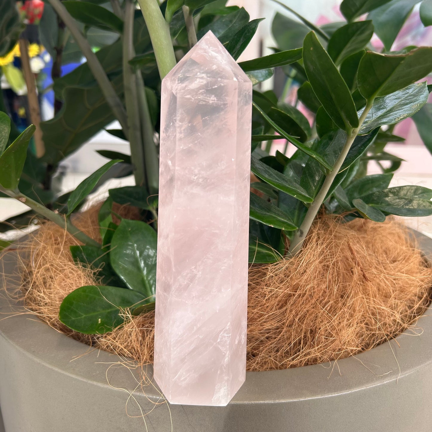 Rose Quartz Point - Rivendell Shop