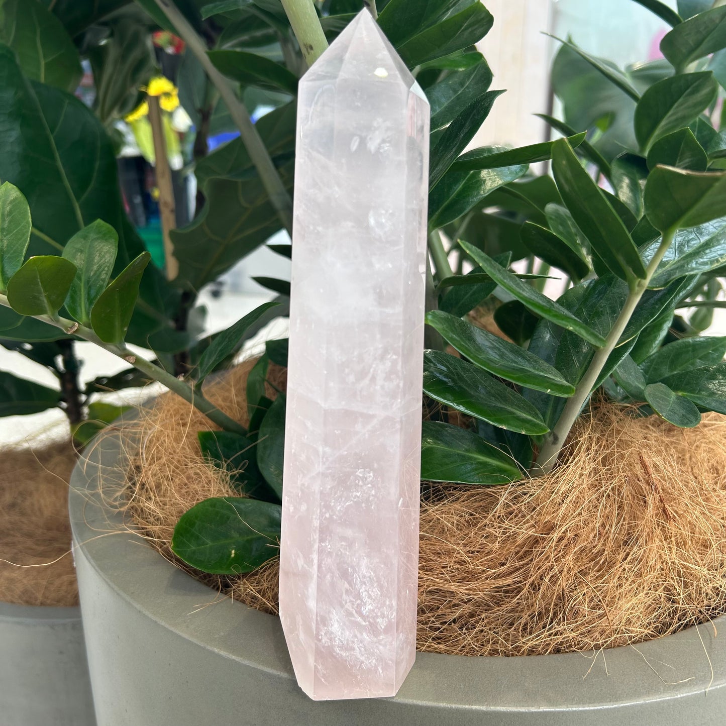 Rose Quartz Point - Rivendell Shop