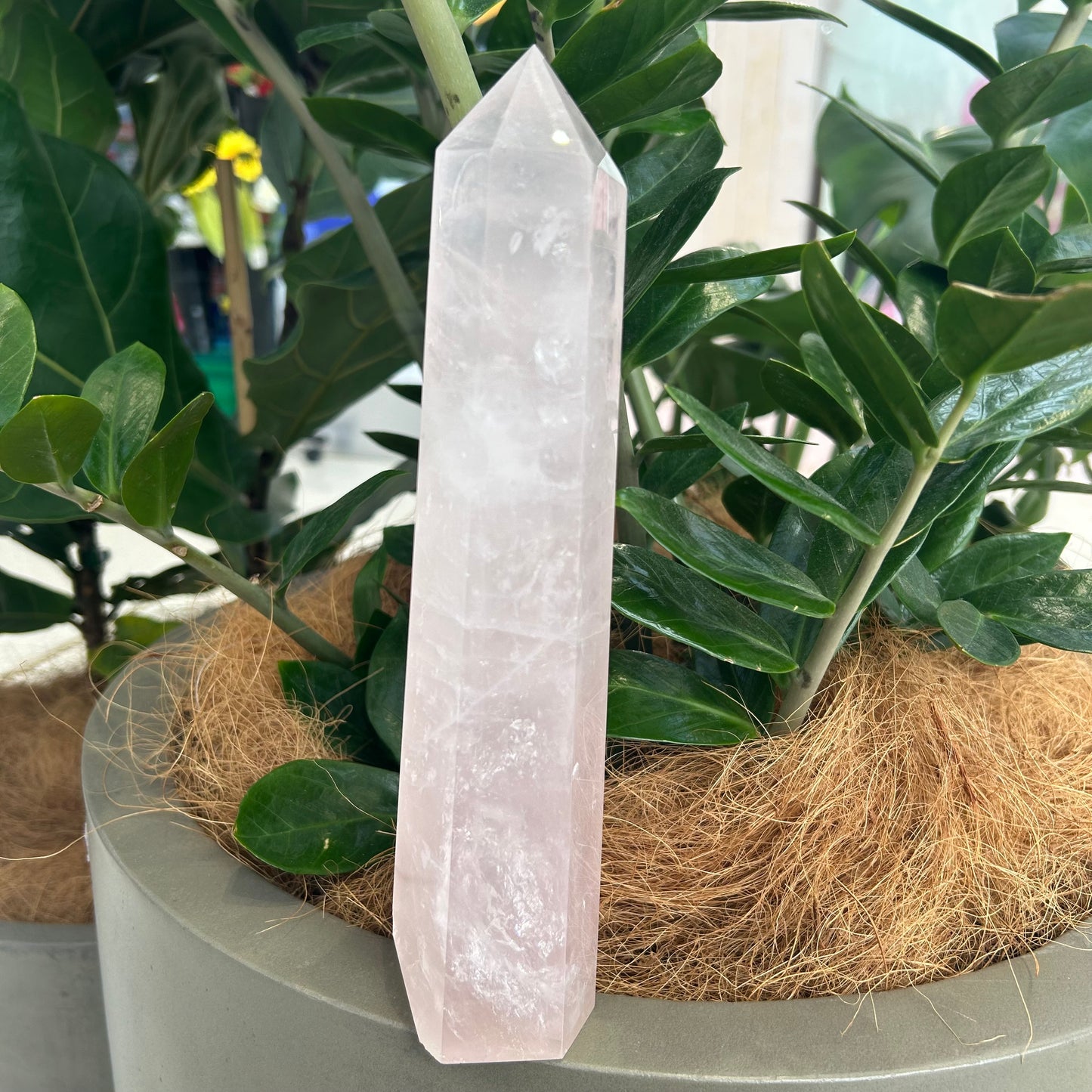 Rose Quartz Point - Rivendell Shop