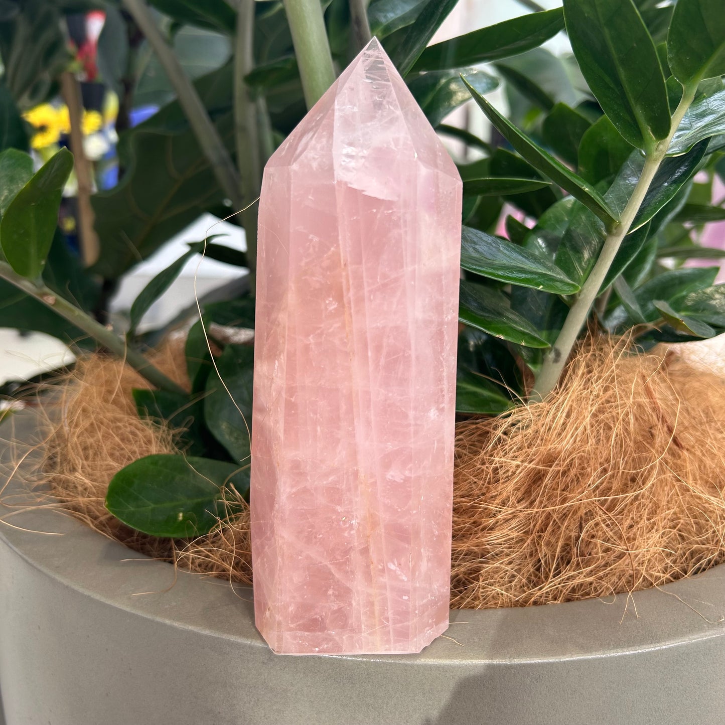 Rose Quartz Point
