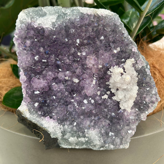 Amethyst Standing Cluster - Rivendell Shop
