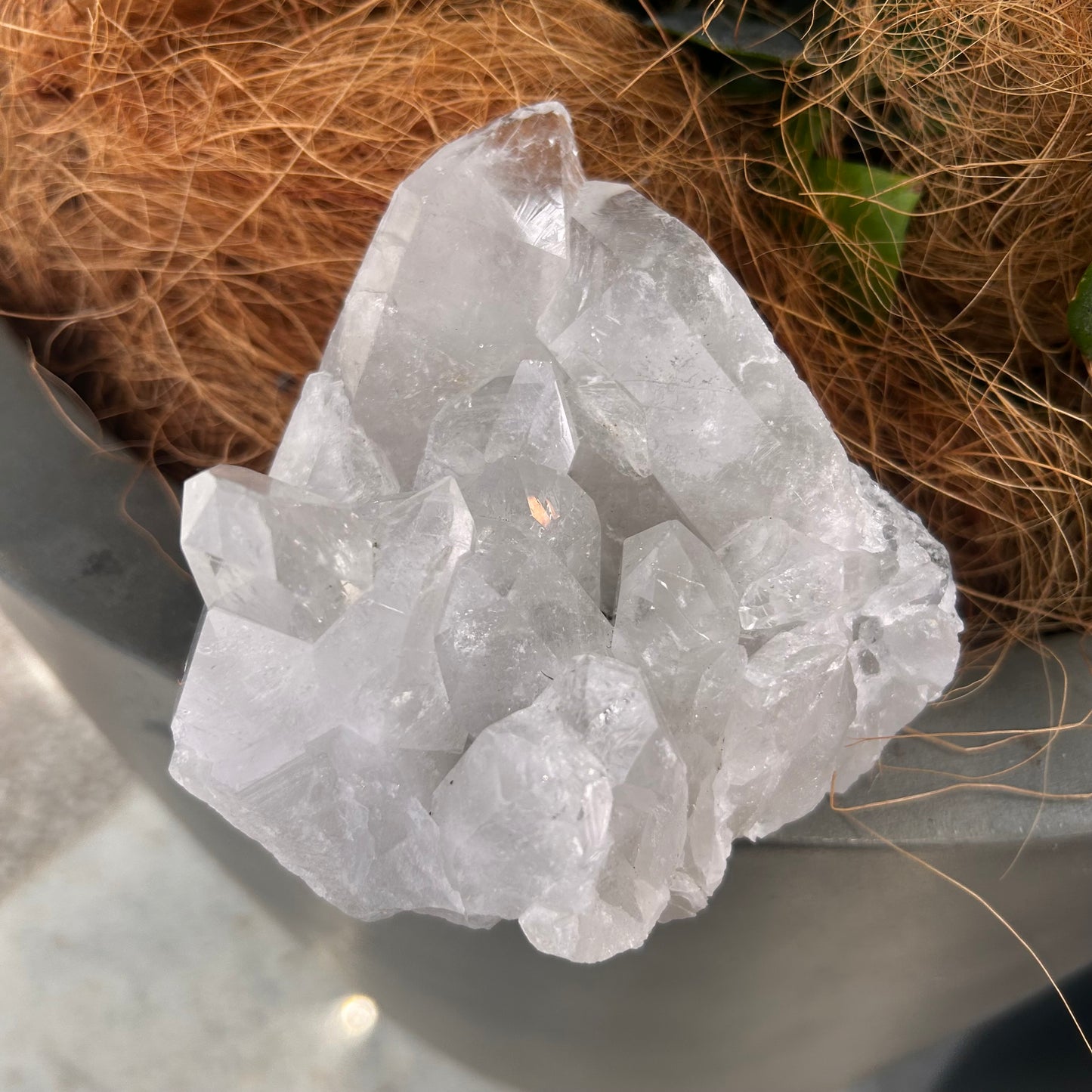 Clear Quartz Cluster