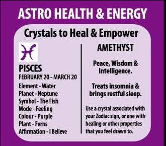 Amethyst zodiac bracelet - Rivendell Shop