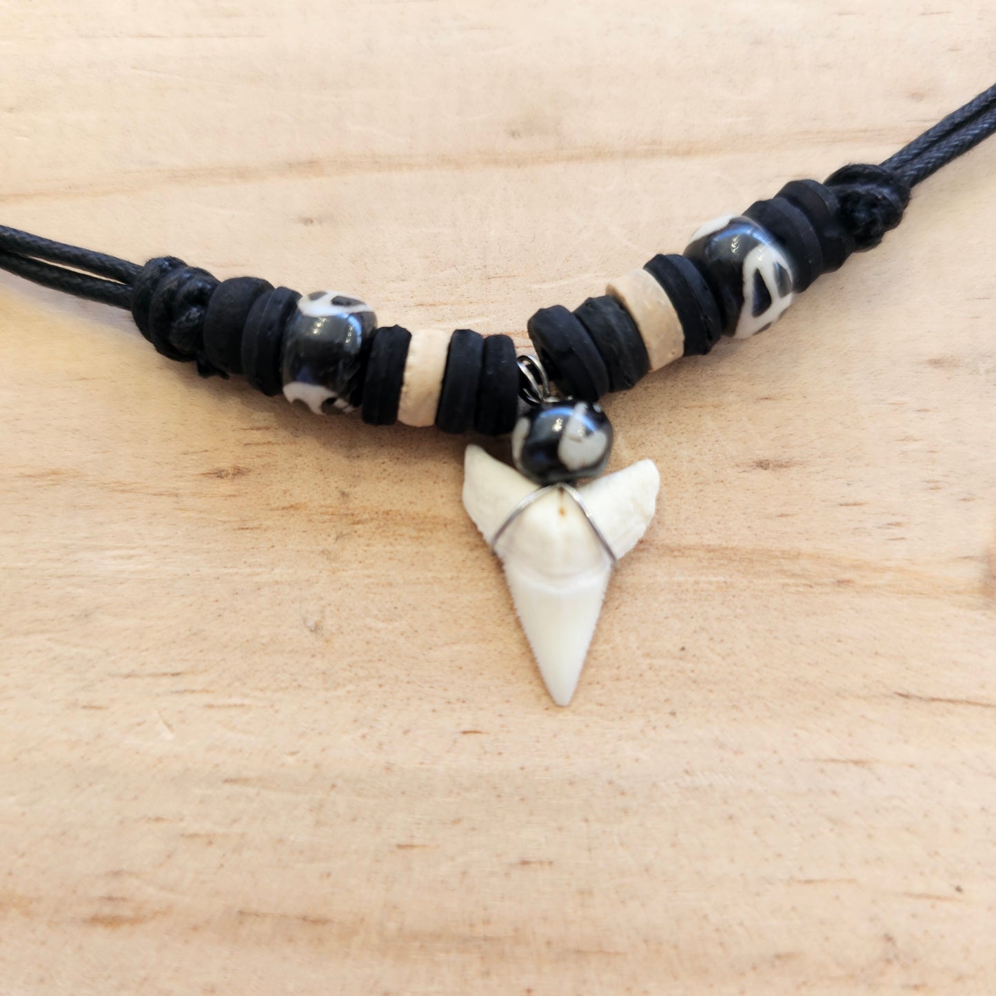 Shark Tooth Necklace - Tiger - Rivendell Shop