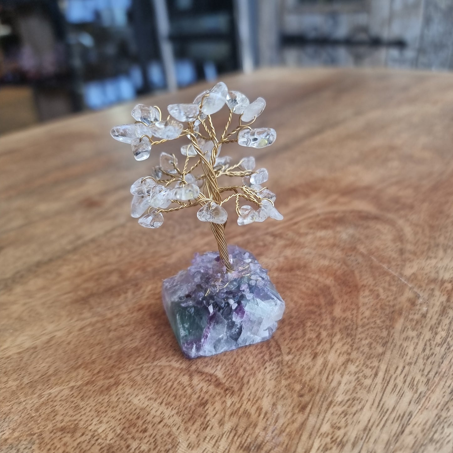Clear quartz crystal tree on fluorite base - Rivendell Shop