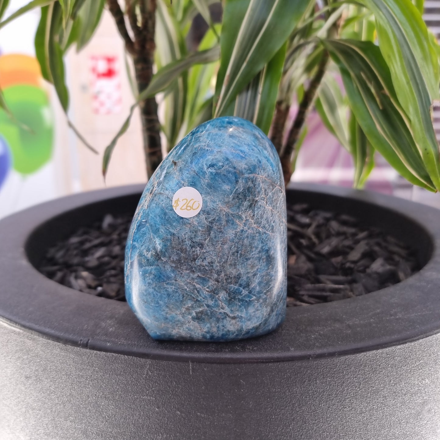 Apatite freeform - Rivendell Shop