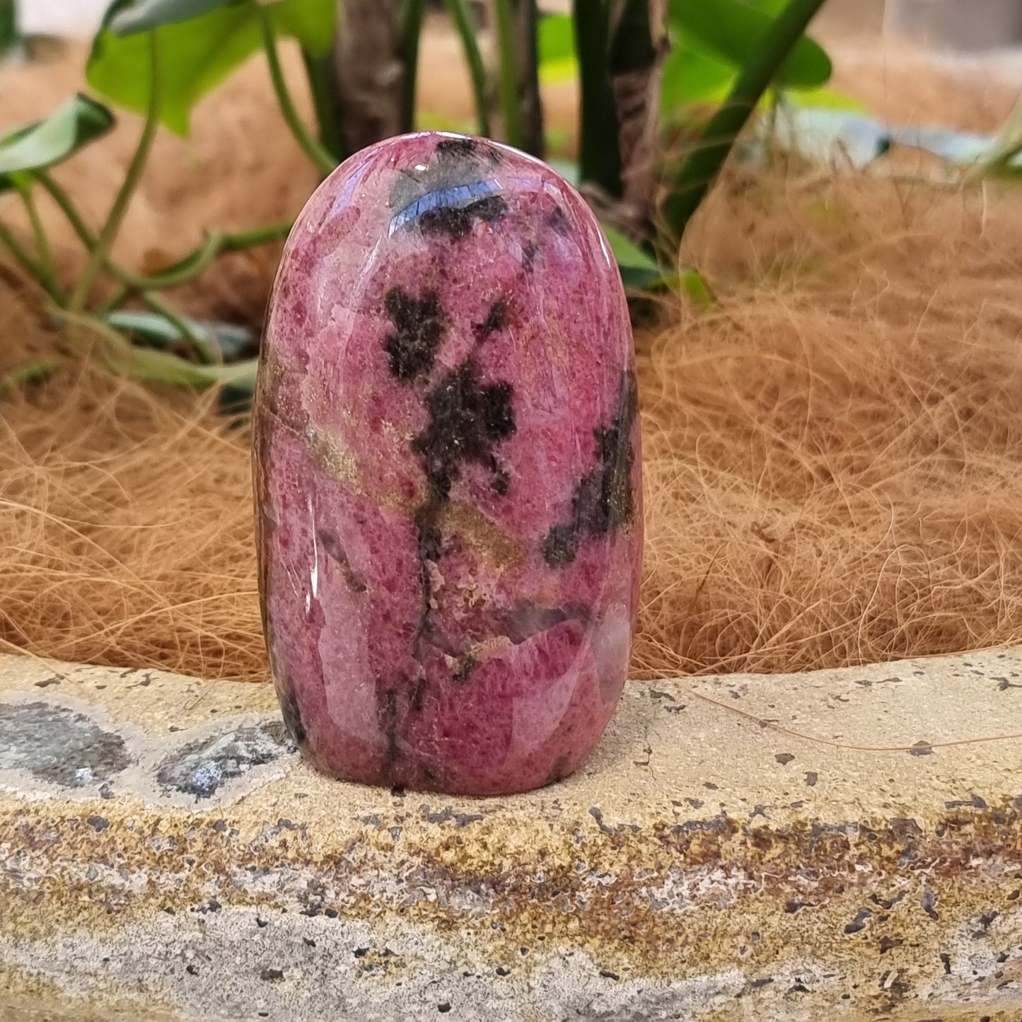Rhodonite freeform - Rivendell Shop
