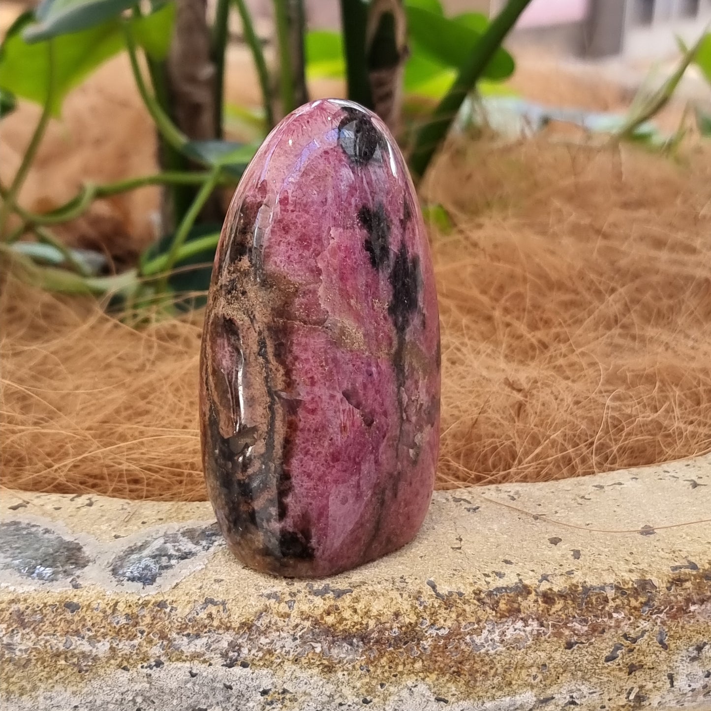 Rhodonite freeform - Rivendell Shop