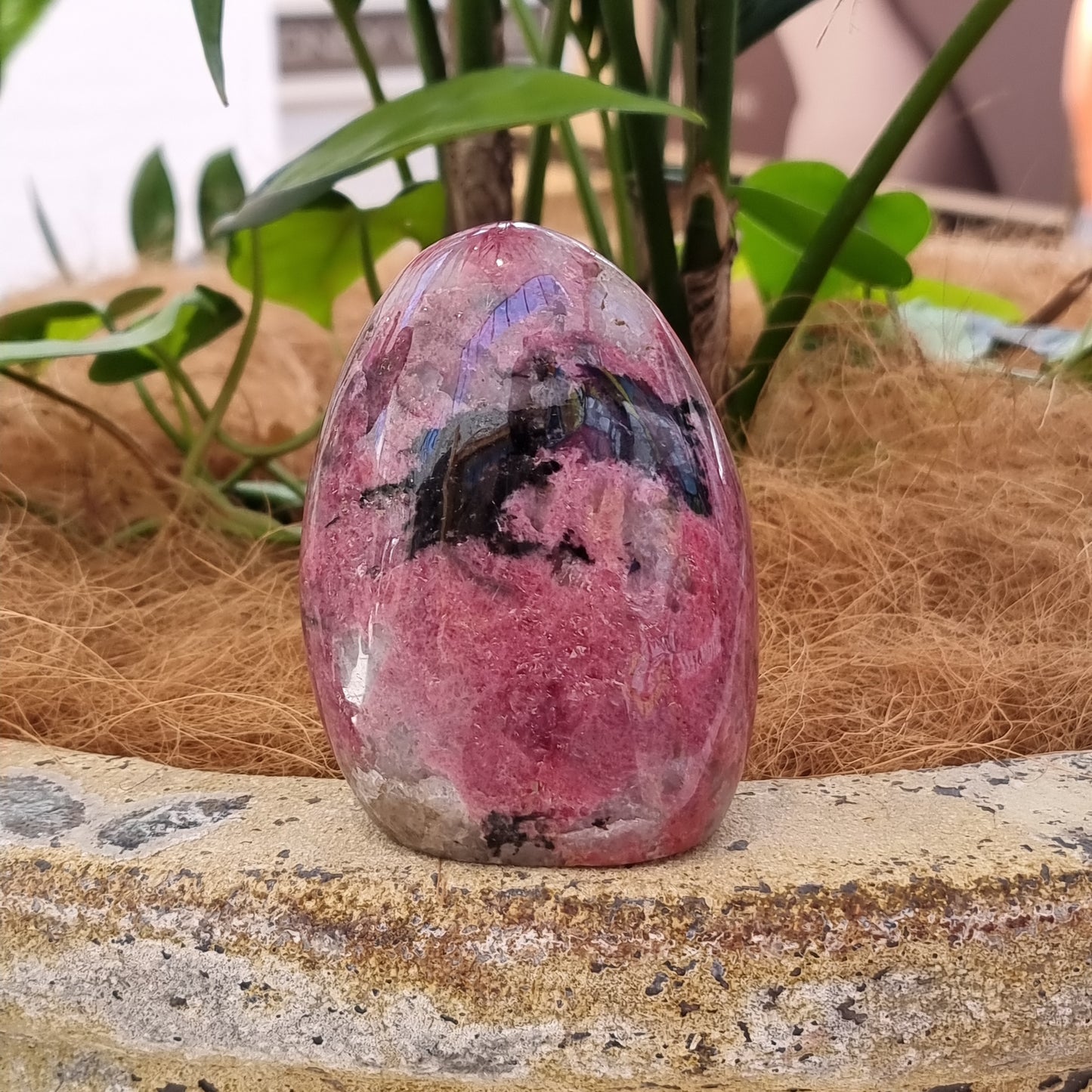 Rhodonite freeform - Rivendell Shop