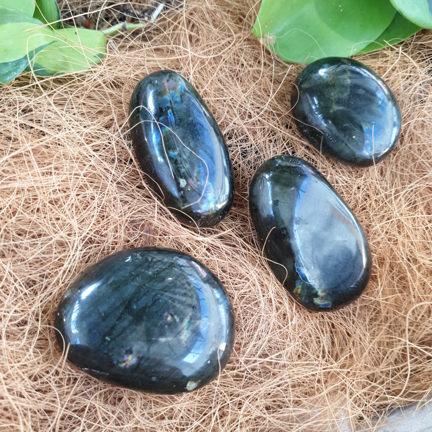 Labradorite Crystal (4-5cm) - Rivendell Shop