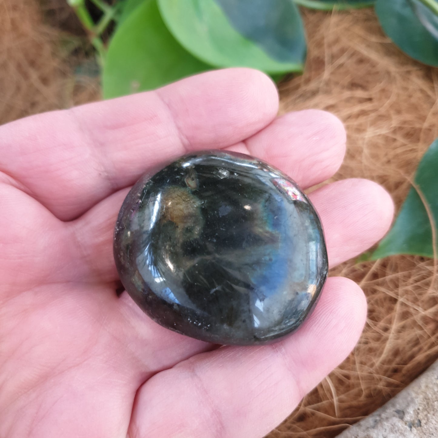 Labradorite Crystal (4-5cm) - Rivendell Shop