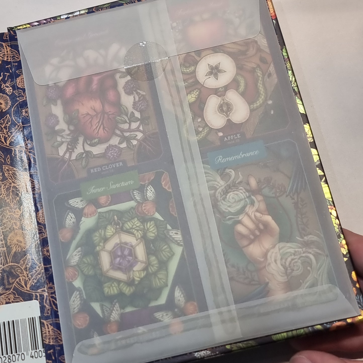 The illustrated Herbiary HB & cards - Rivendell Shop
