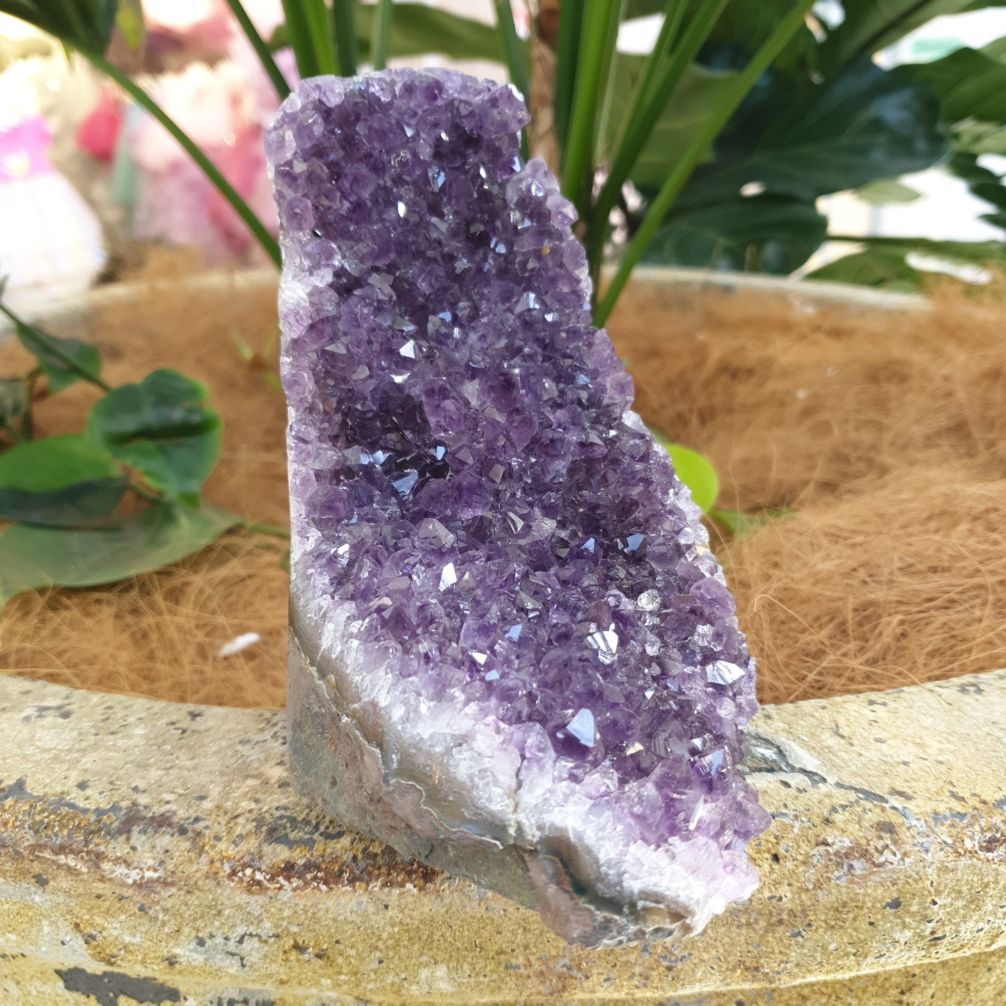 Standing amethyst - Rivendell Shop