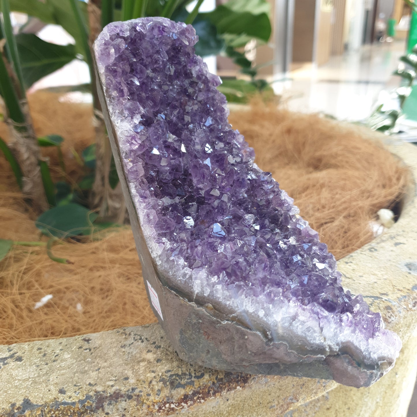 Standing amethyst - Rivendell Shop