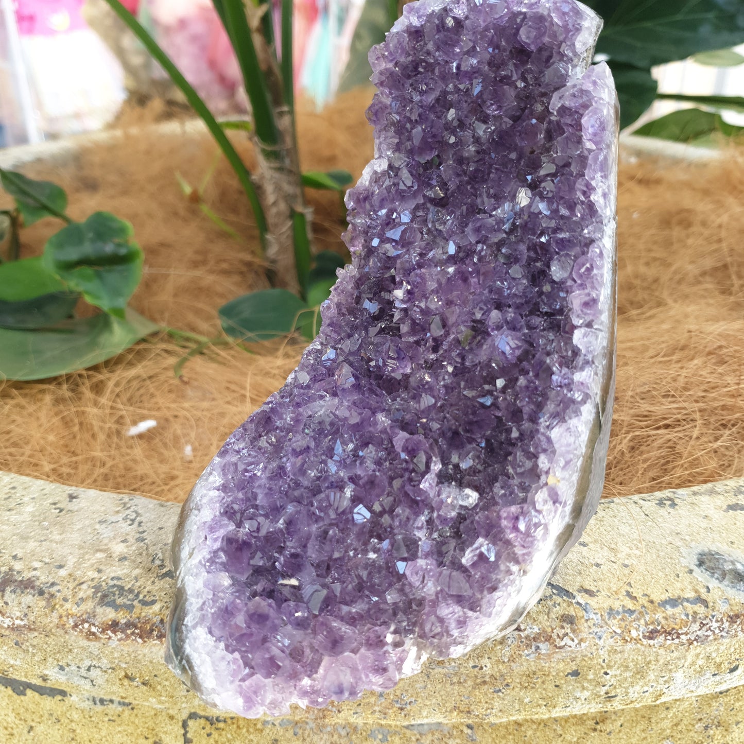 Standing amethyst - Rivendell Shop