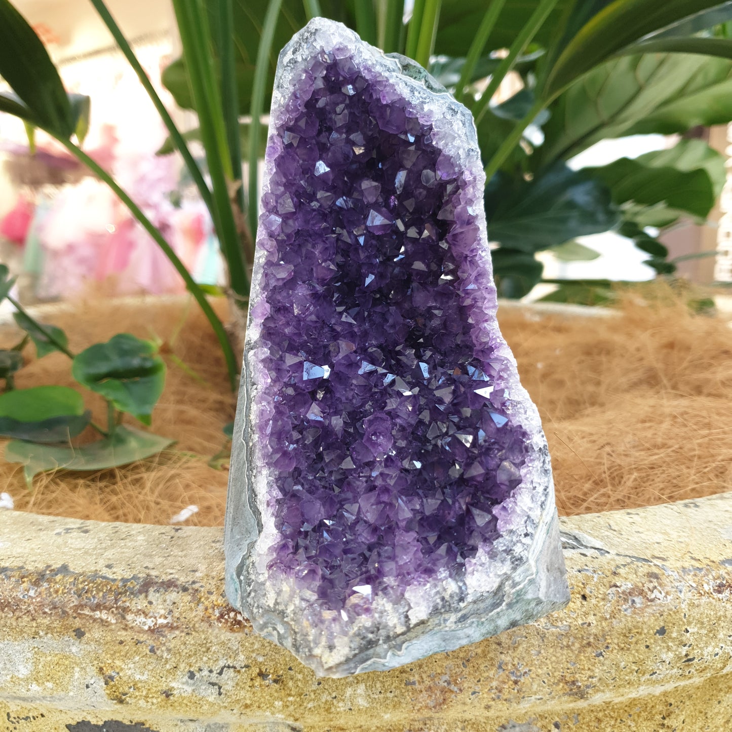Standing amethyst - Rivendell Shop