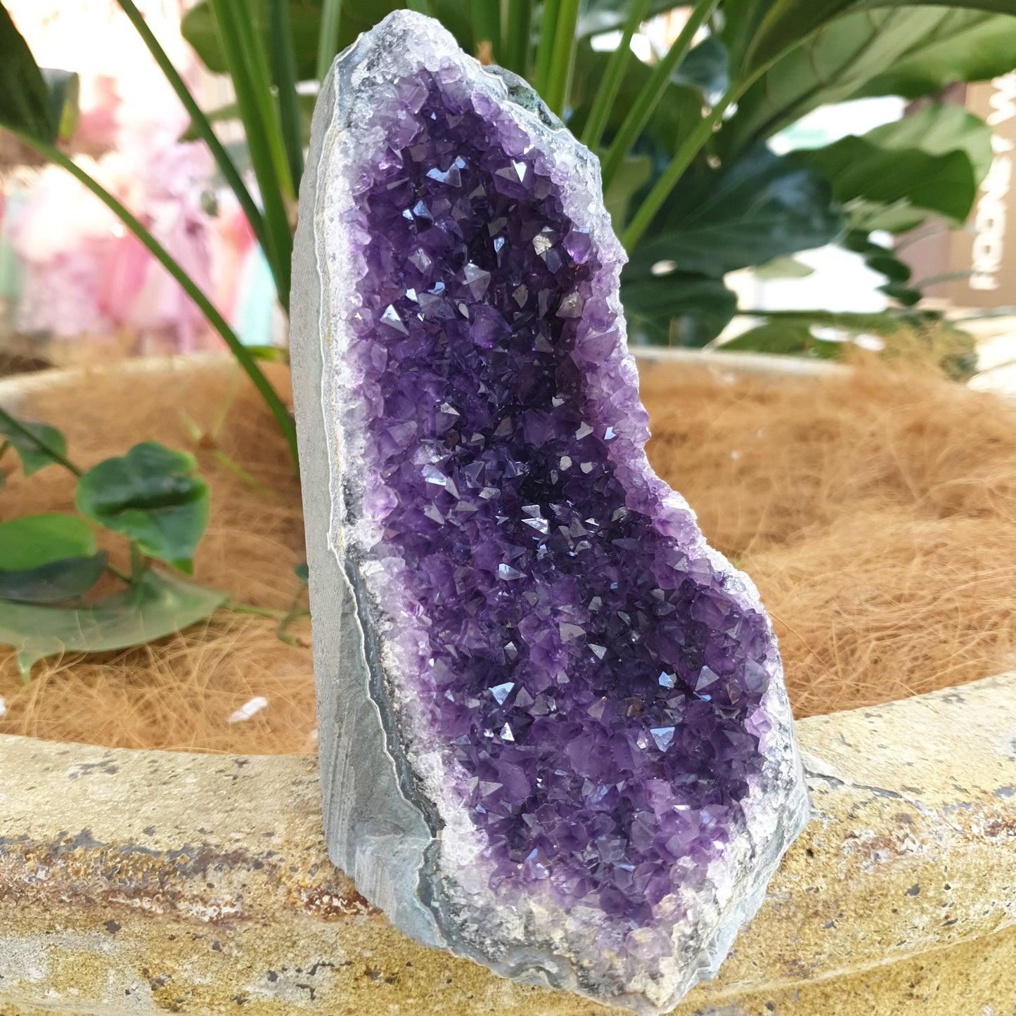Standing amethyst - Rivendell Shop