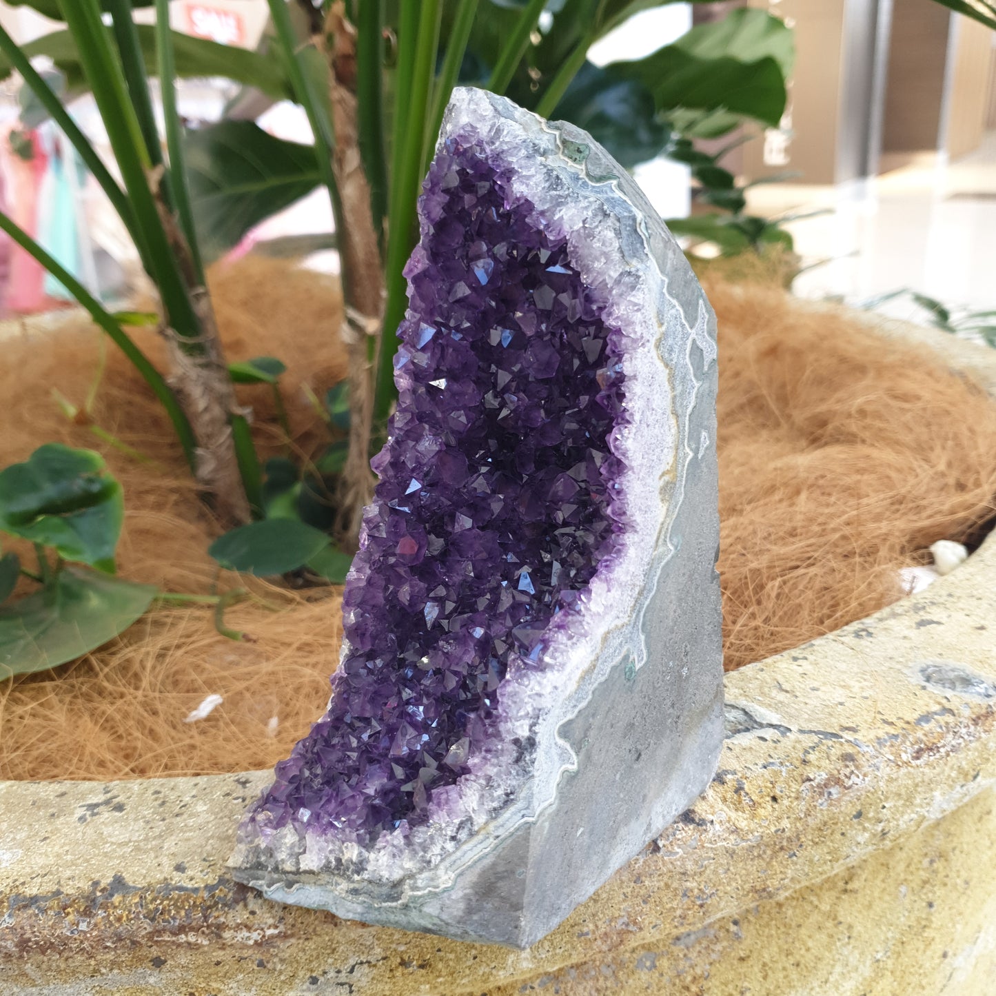 Standing amethyst - Rivendell Shop