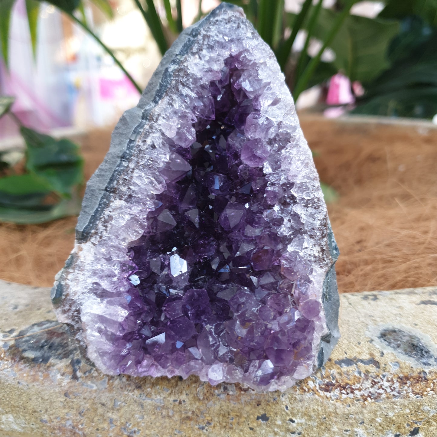 Standing amethyst - Rivendell Shop