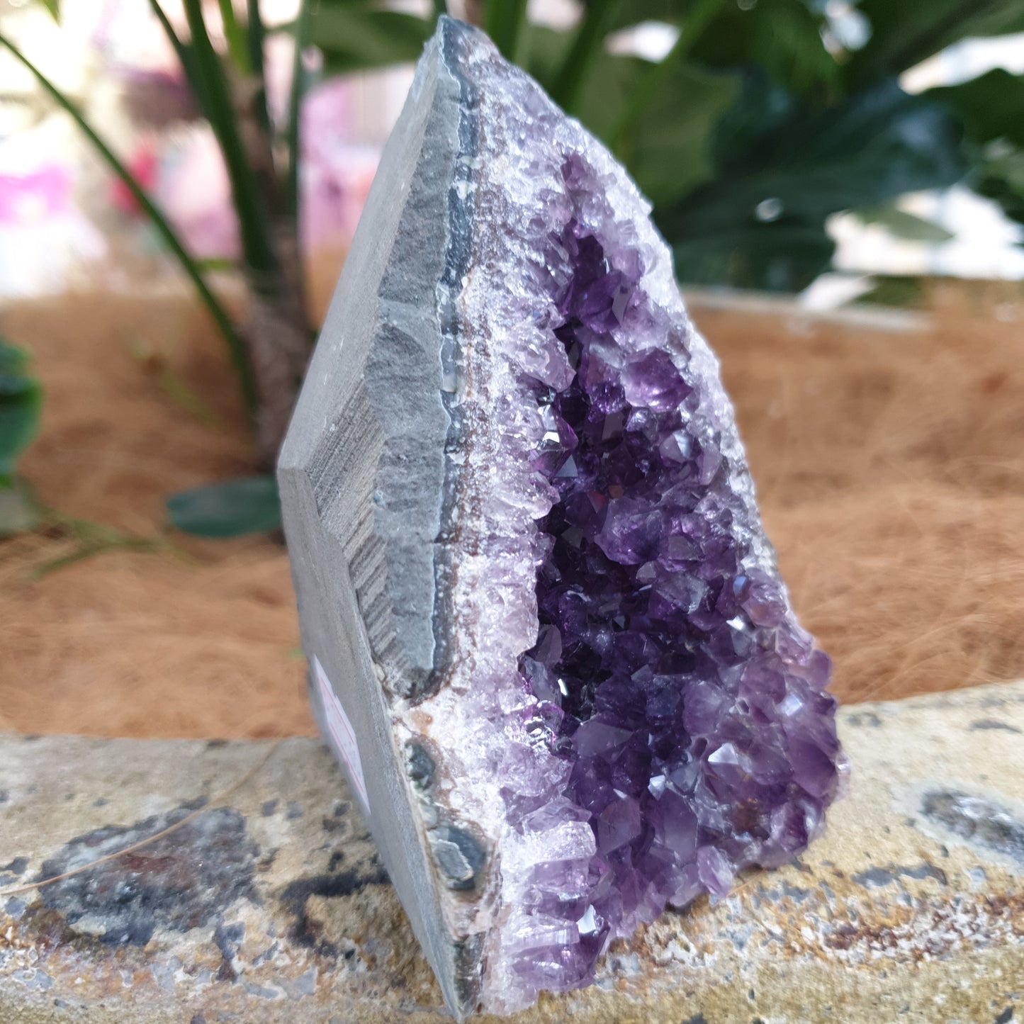 Standing amethyst - Rivendell Shop