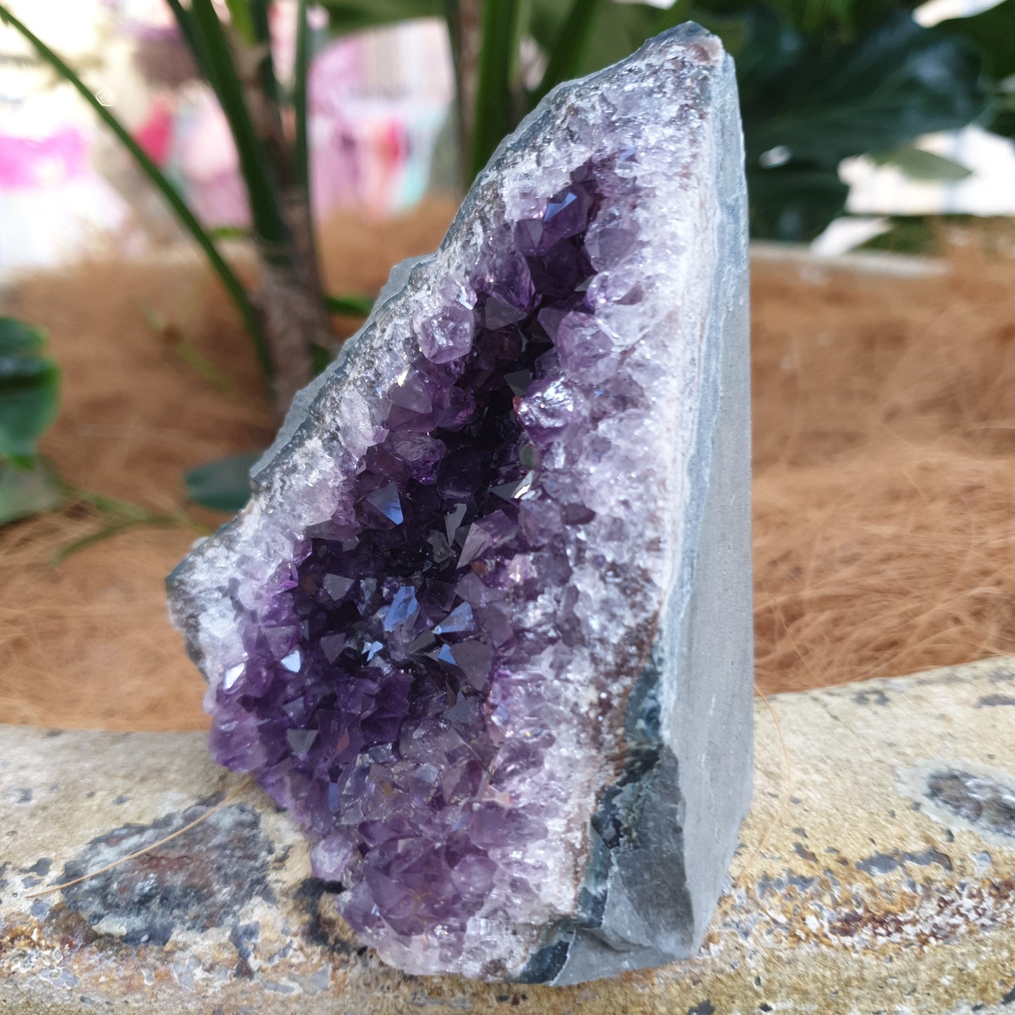 Standing amethyst - Rivendell Shop
